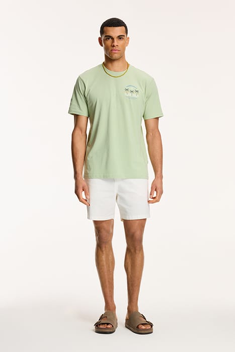 ANTIGUA PORT T-SHIRT DUST GREEN 3