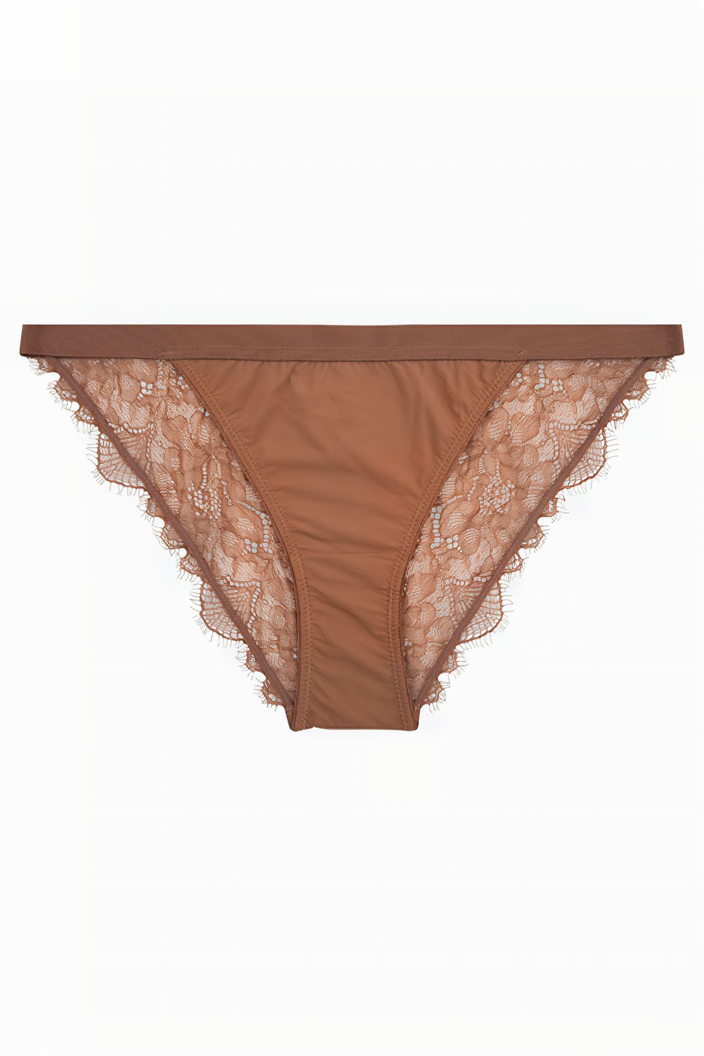 WILD ROSE BRIEF MBROWN 2