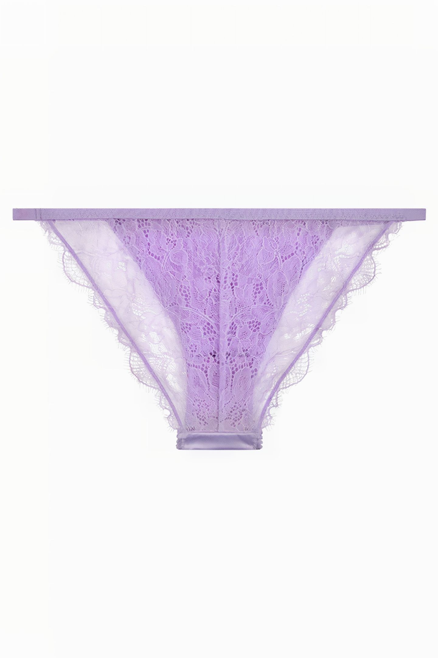 WILD ROSE BRIEF LILA 2