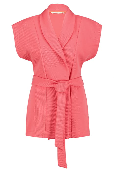 SLEEVELESS VEST DIAM PINK 4