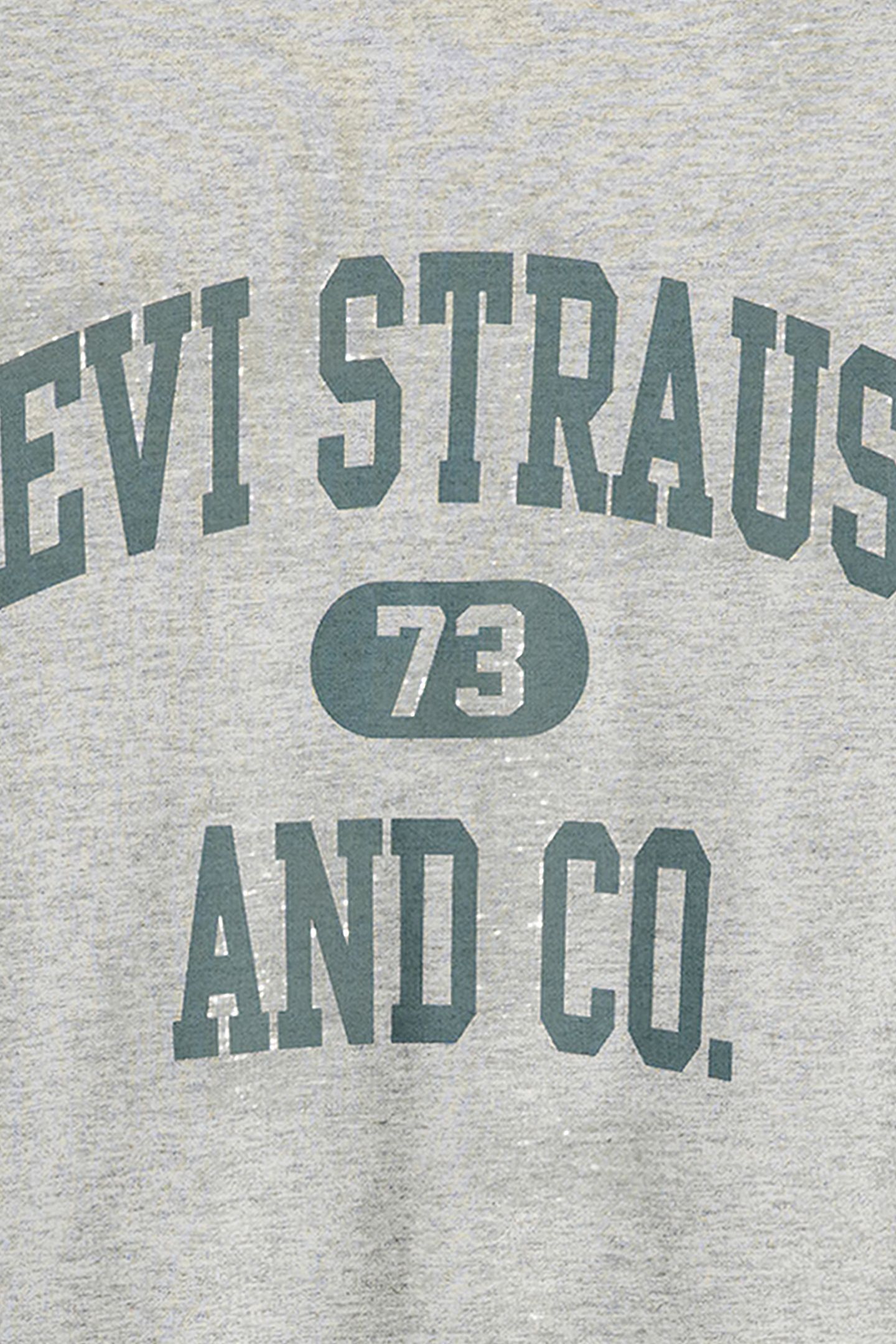 SS PRINTED T-SHIRT GREY 6
