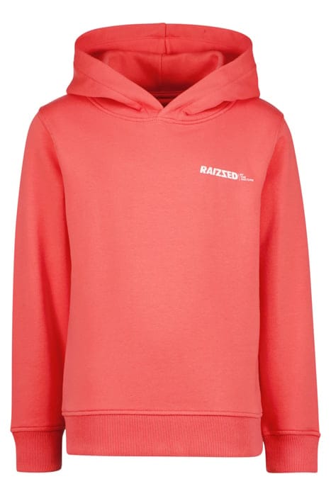 BOYS NEWFIELD SWEATER PEACH RED 1