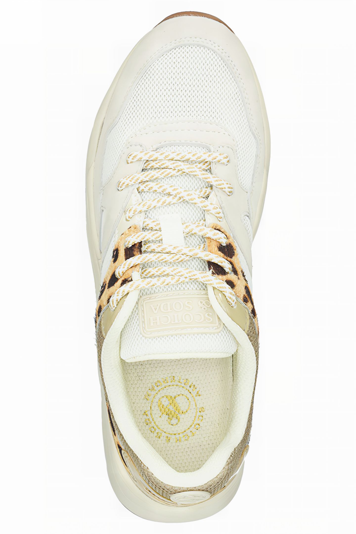 CELEST SNEAKER BEIGE/LEO PRINT 3