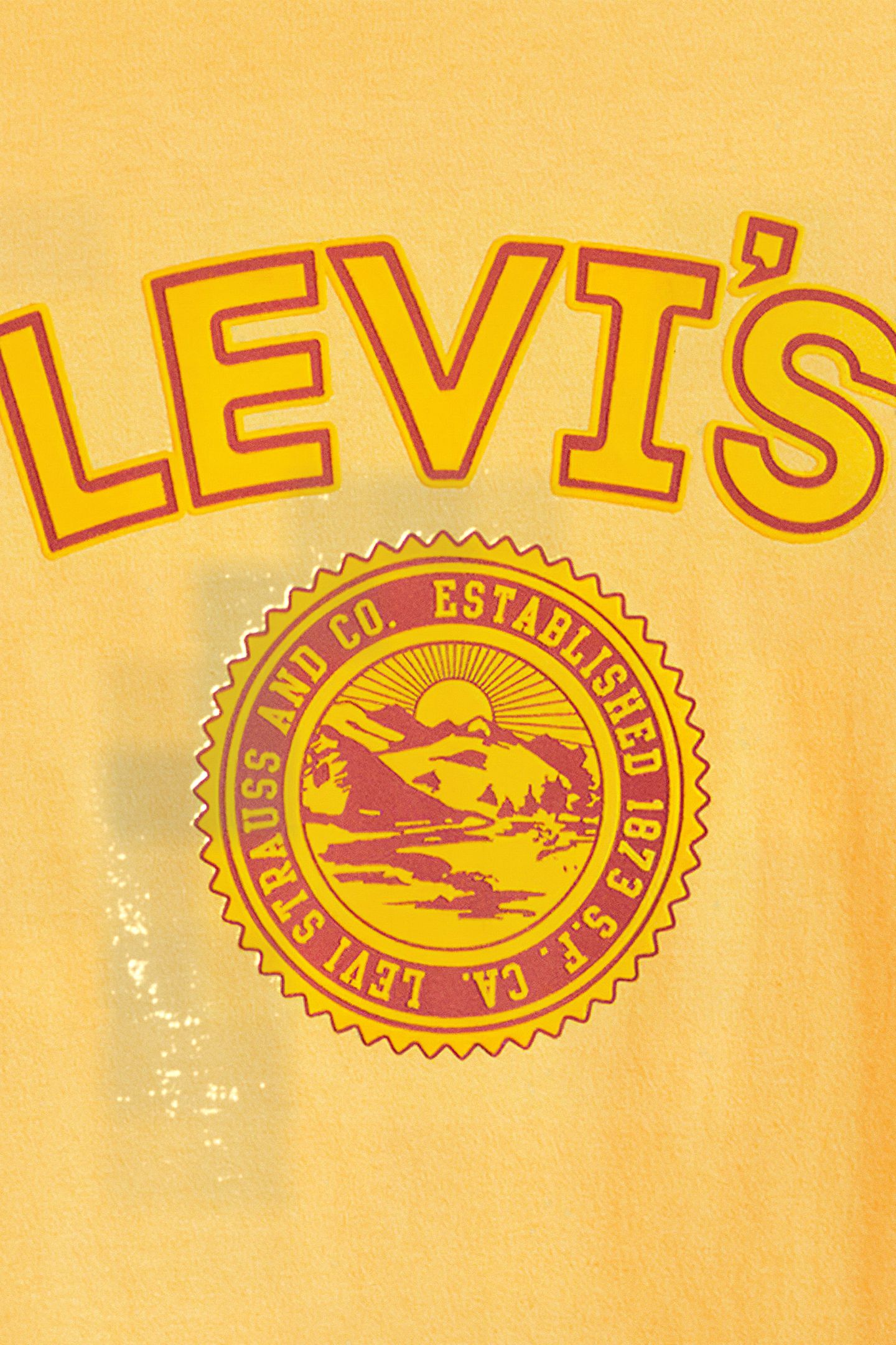 SS RELAXED FIT TEE VARSITY LOGO PATCH AU 6