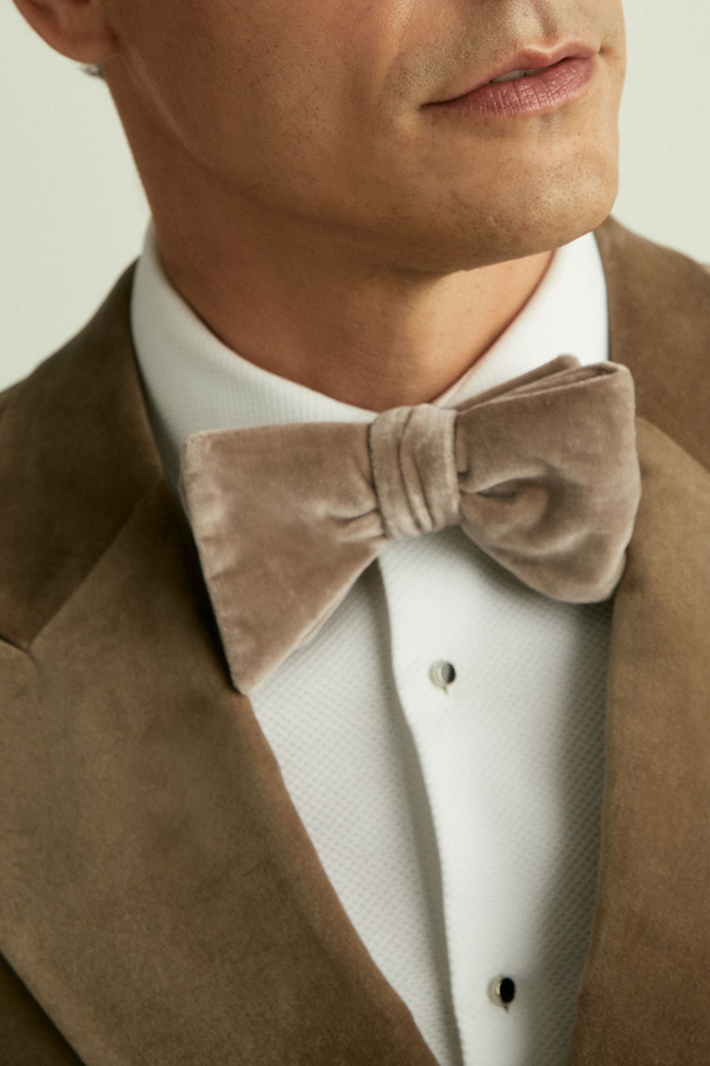 VELVET BOW TIE — TAUPE BROWN 2