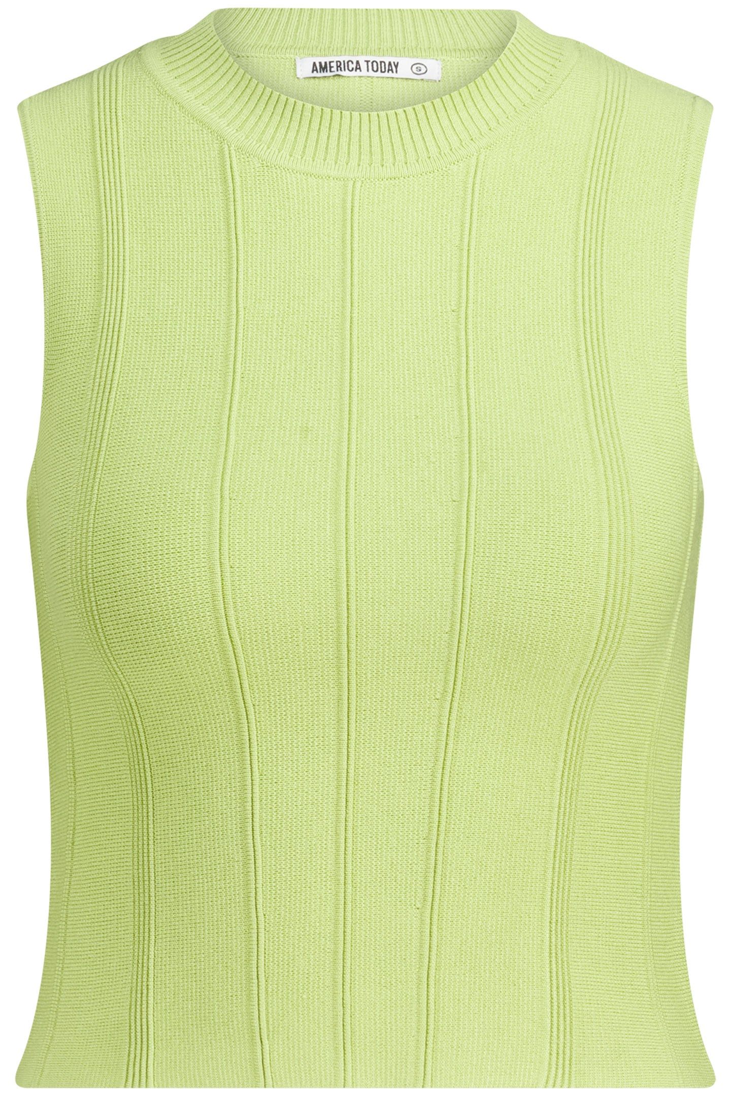 GIGI CACTUS 1