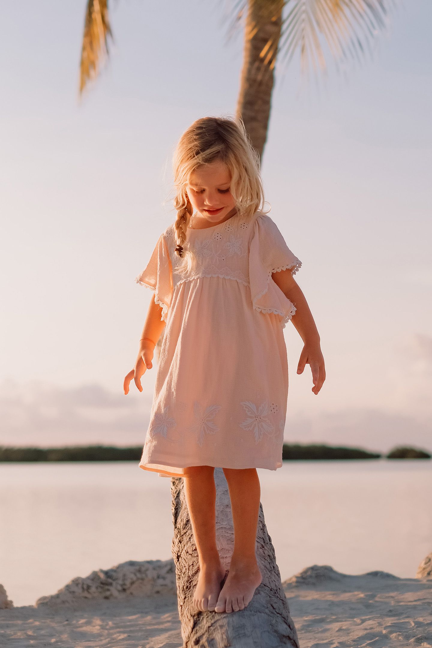 DRESS ESCA BLUSH 4