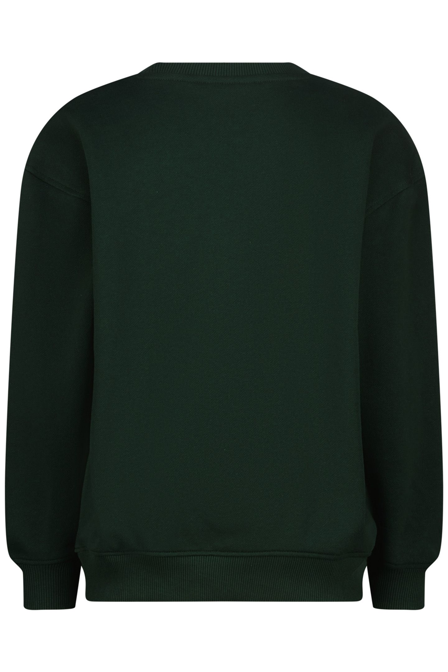 BOYS NOAR SWEATER RACING GREEN 2