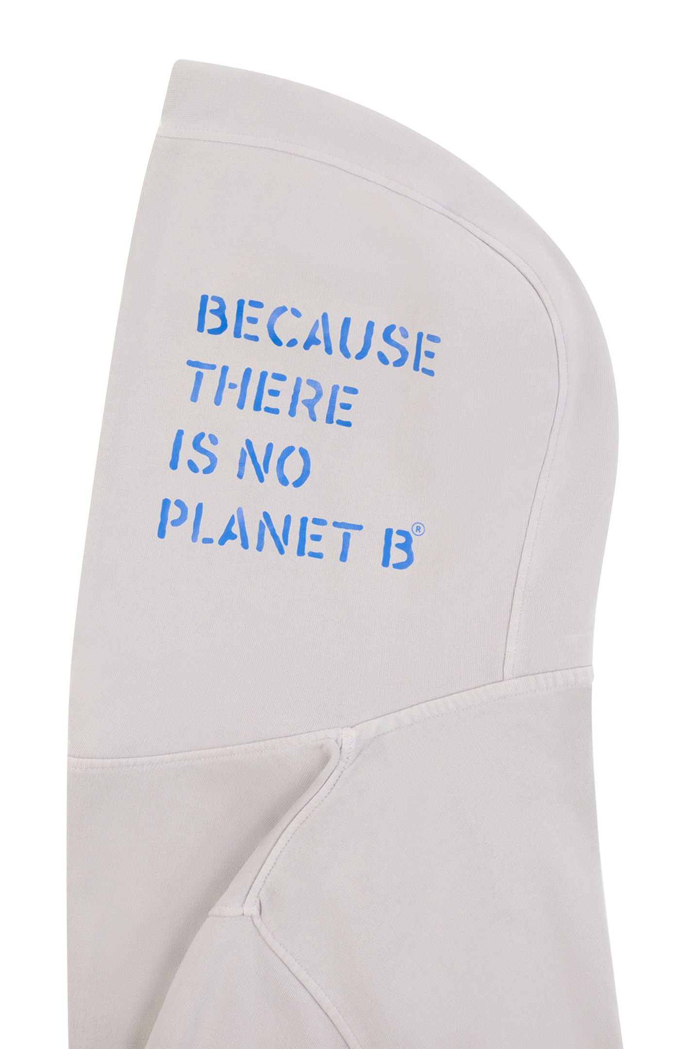 DELMARALF SWEATSHIRT ICE 3