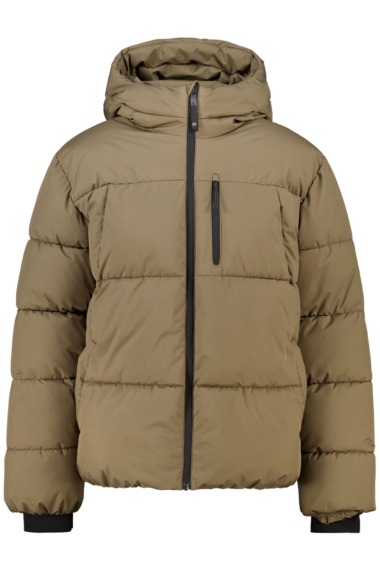 JAXXON BROWN 3