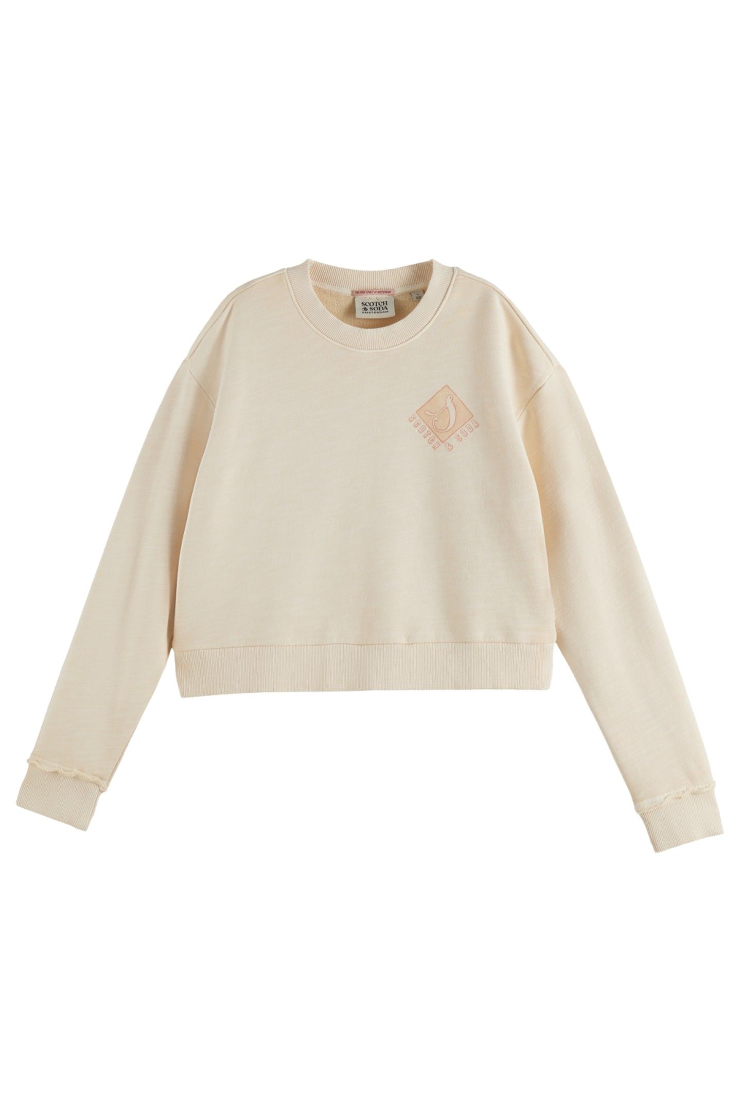 FRONT BACK ARTWORK GARMENT DYE LOOSE FIT SWEATSHIRT SOFT ICE 4