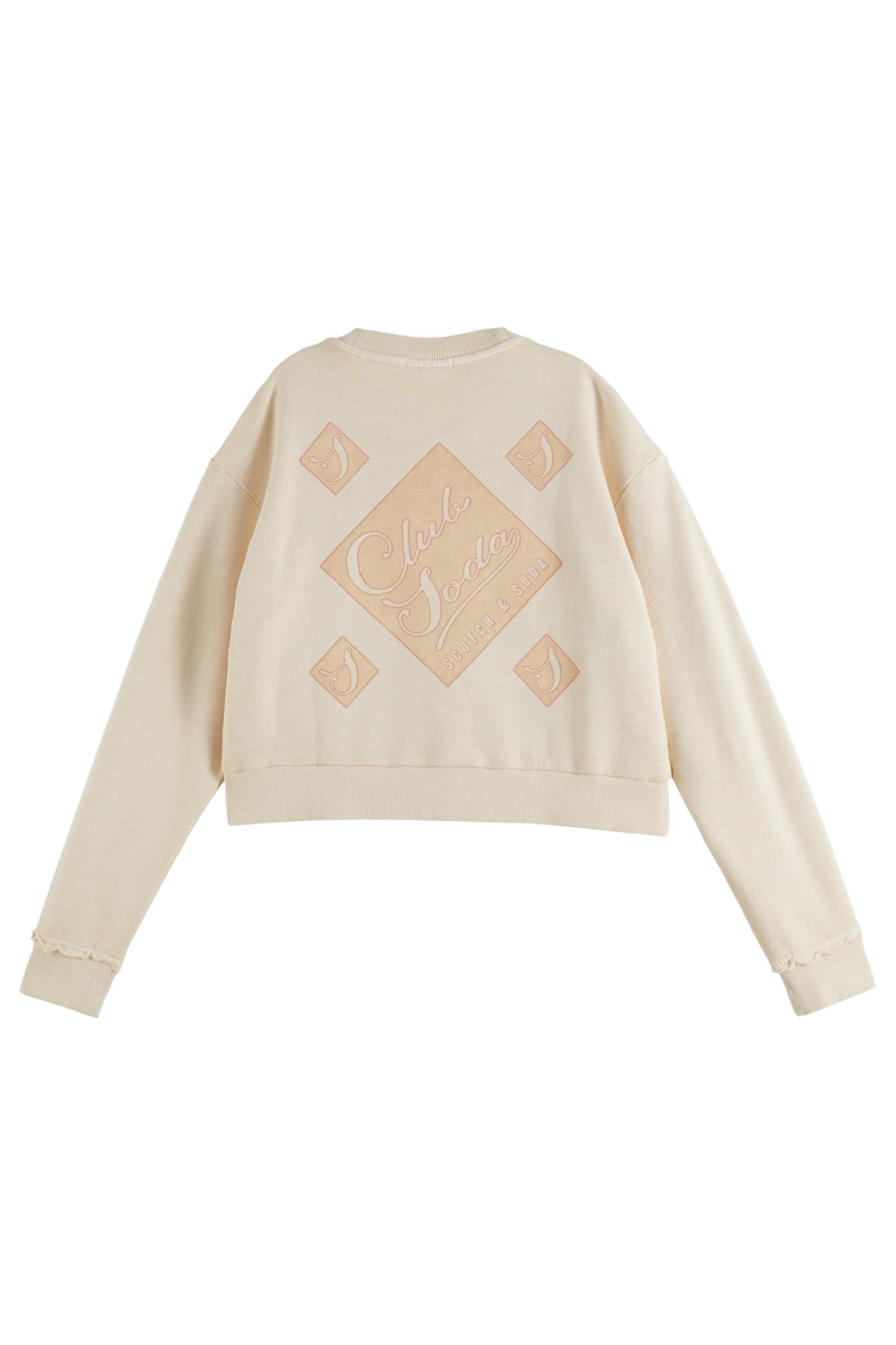FRONT BACK ARTWORK GARMENT DYE LOOSE FIT SWEATSHIRT SOFT ICE 5