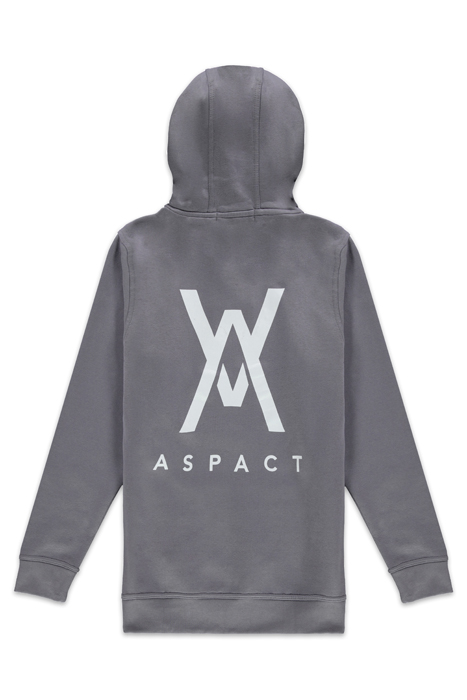 ASPACT BACK LOGO HOODIE QUICK SILVER 2