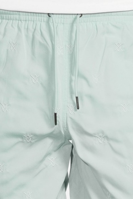 PASTEL TURQUOISE ESWIM SHORTS 5