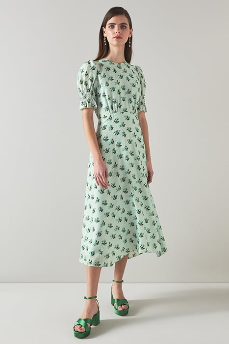 DR TABITHA - PRIMULA PRIN PALE BLUE 2