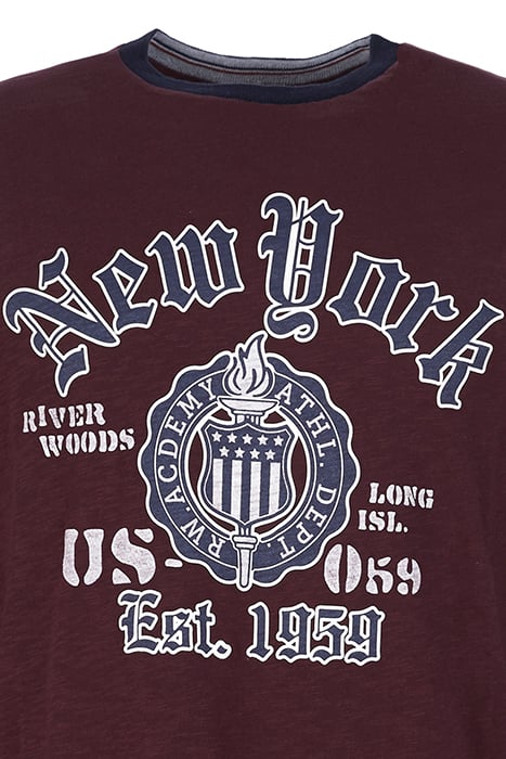 CUSTOM FIT ROUND NECK T-SHIRT IN RED RED 2