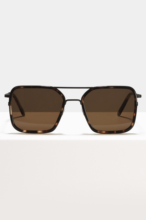 SEAN-SUGAR-MAN-SUN 1