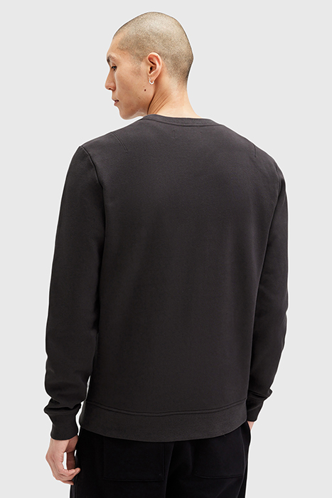 RAVEN CREW NIGHT PURPLE 2