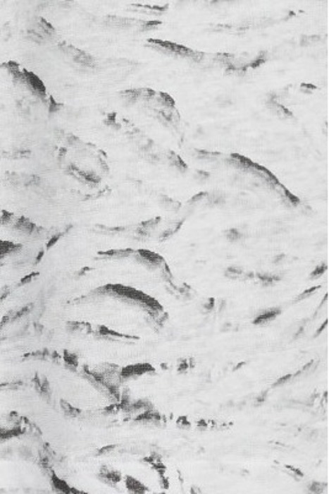 WARDS SS WATERCOLOR ZEBRA PRINT LINEN CR WHITE 5