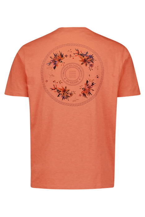 T-SHIRT V-NECK MELANGE GARMENT DYED PLACED PRINT MELON 5