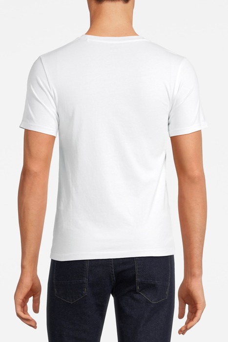 LSEGRAPHIC CREWNECK TE SMALL SEASONAL P 2