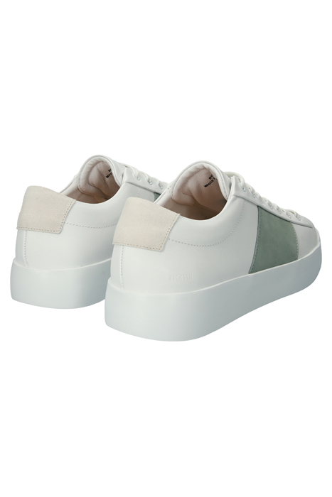 MAYNARD - BG351 WHITE EDGE GREEN - SNEAKER (LOW) WHITE EDGE 6