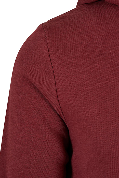 STARTER THE CLASSIC LOGO HOODY PORT 10