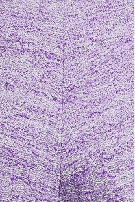 NAJO PURPLE/SILVER 5