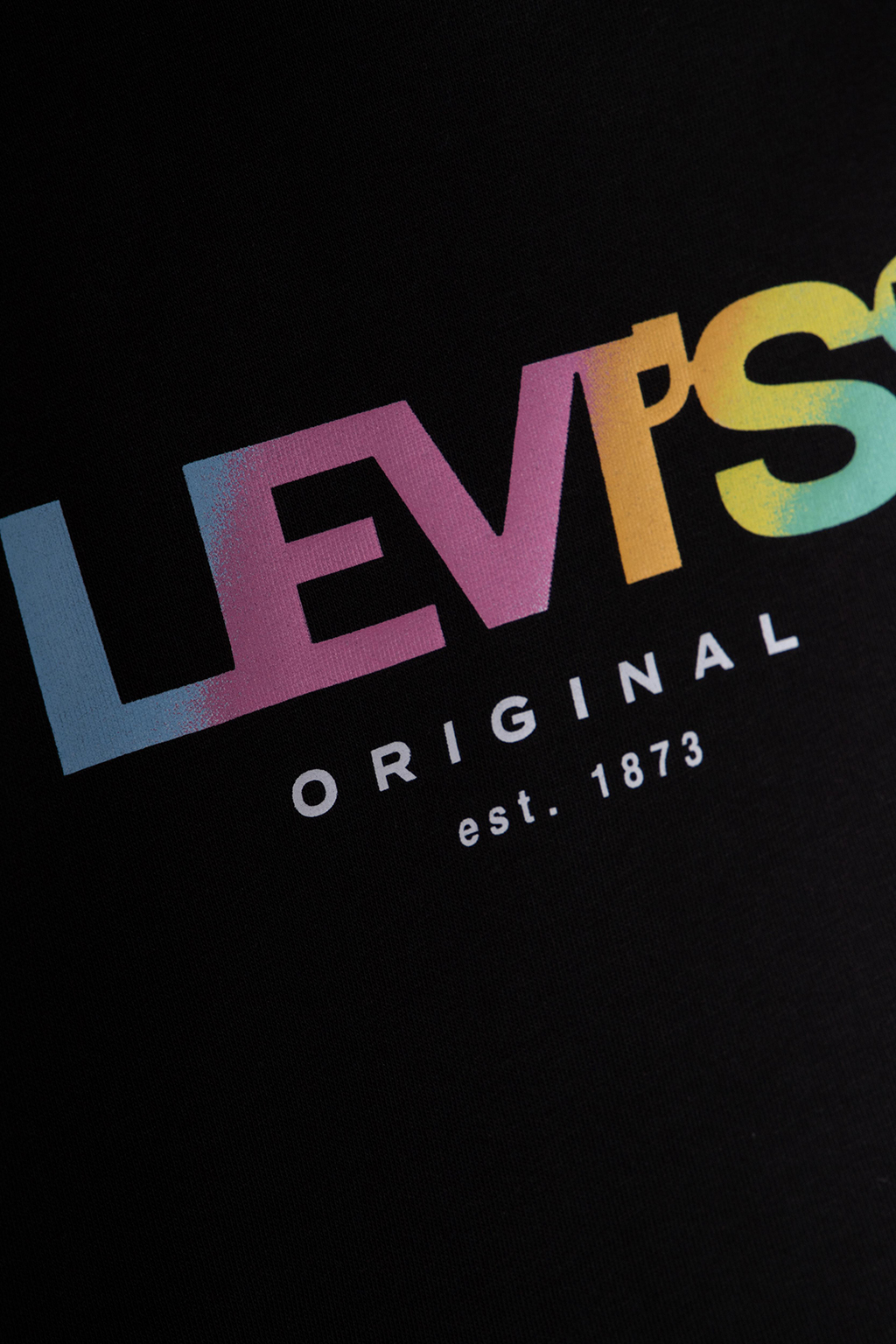 THE PERFECT TEE GRADIENT SSNL LOGO 4