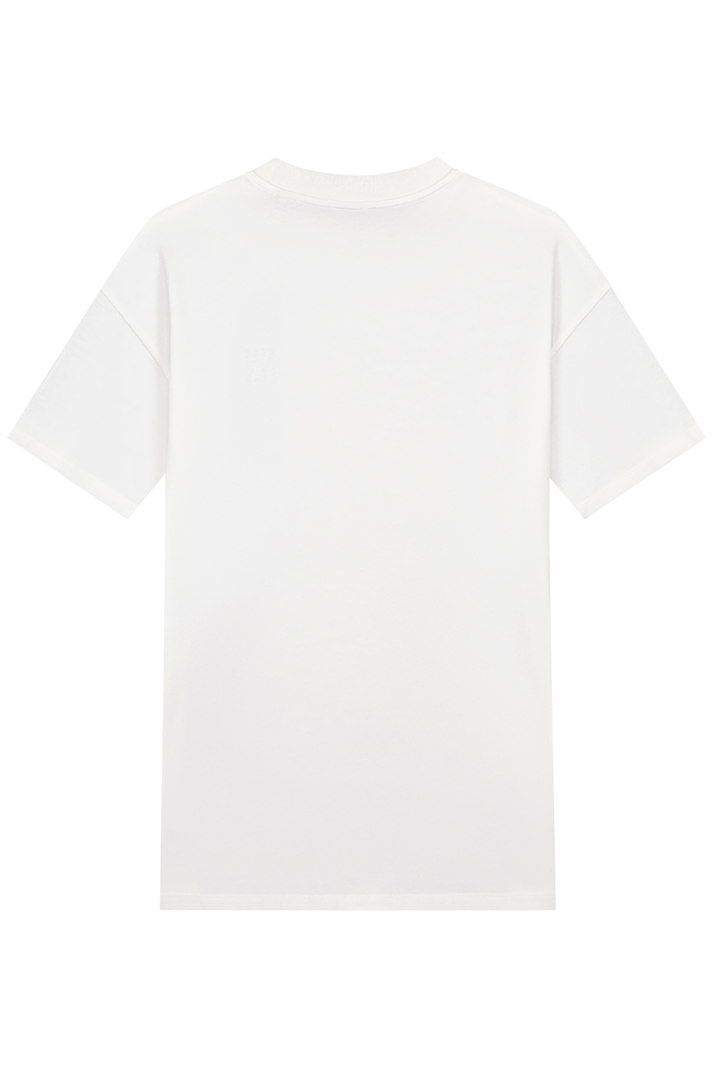 EXTRAORDINARY T-SHIRT OFF WHITE 3