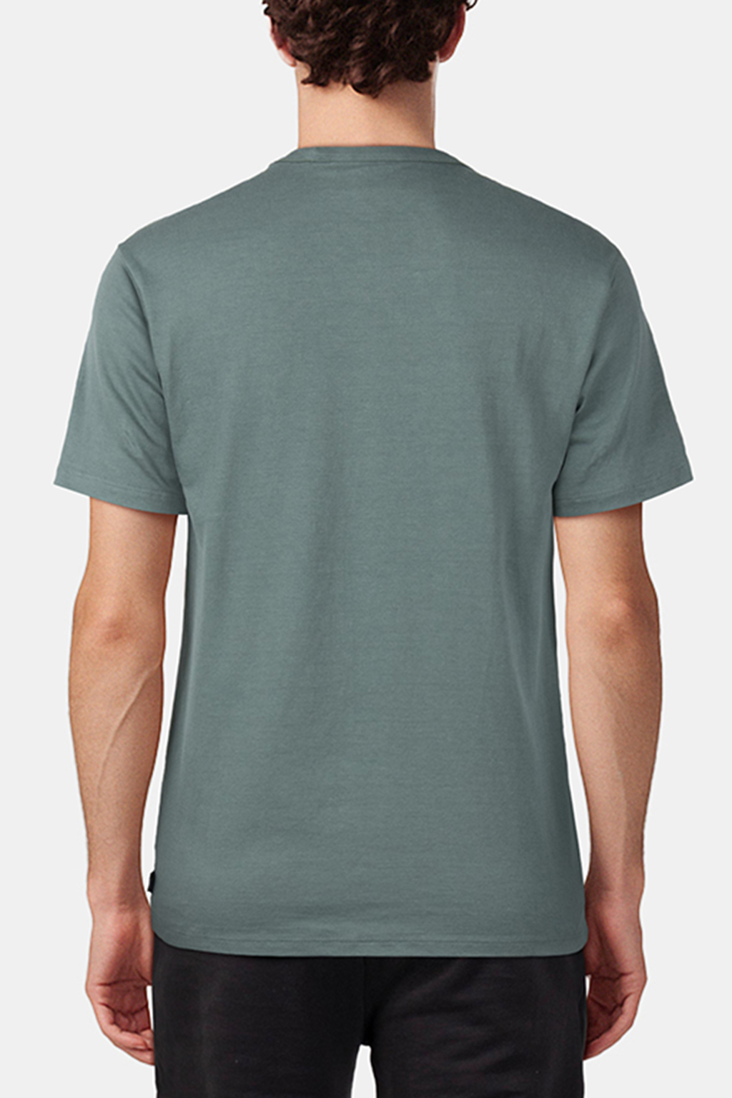 OFF THE WALL II SS DARK FOREST 2