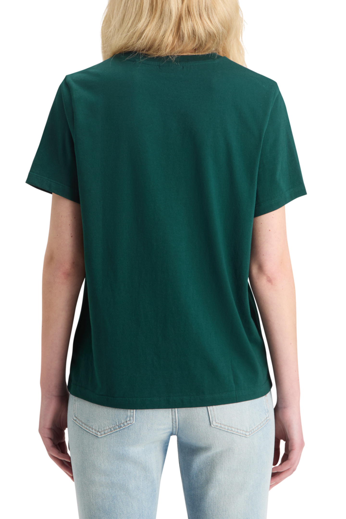 CHEST ARTWORK REGULAR FIT T-SHIRT CYPRESS GREEN 2