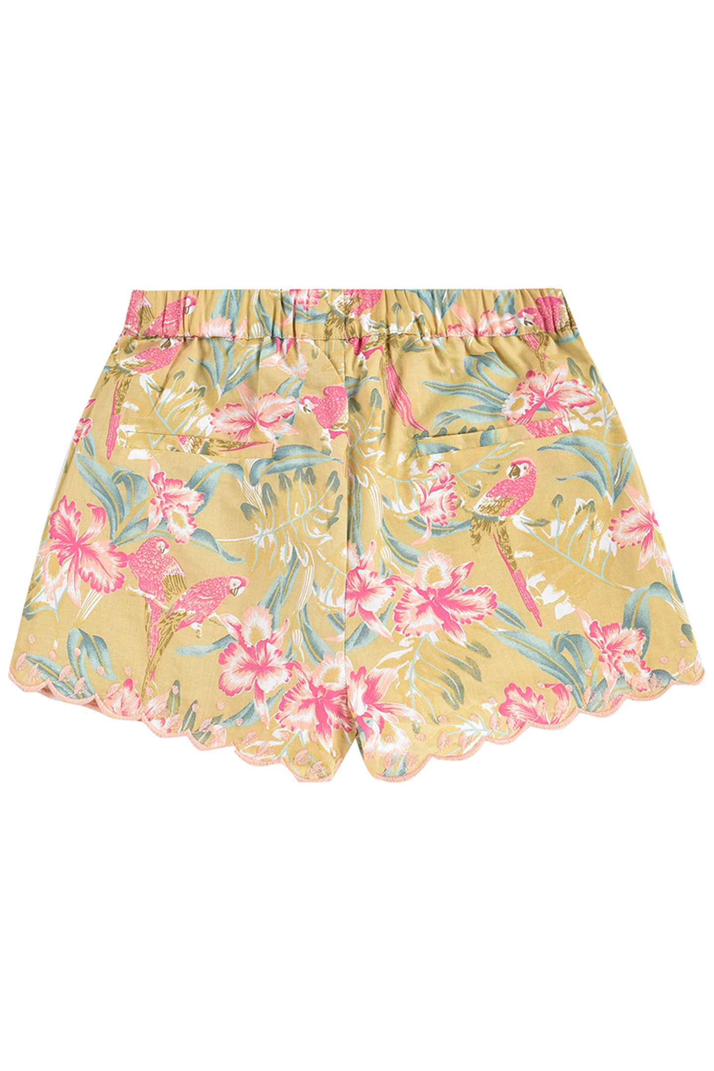 SHORTS VALLALOID SOFT HONEY PARROTS 2