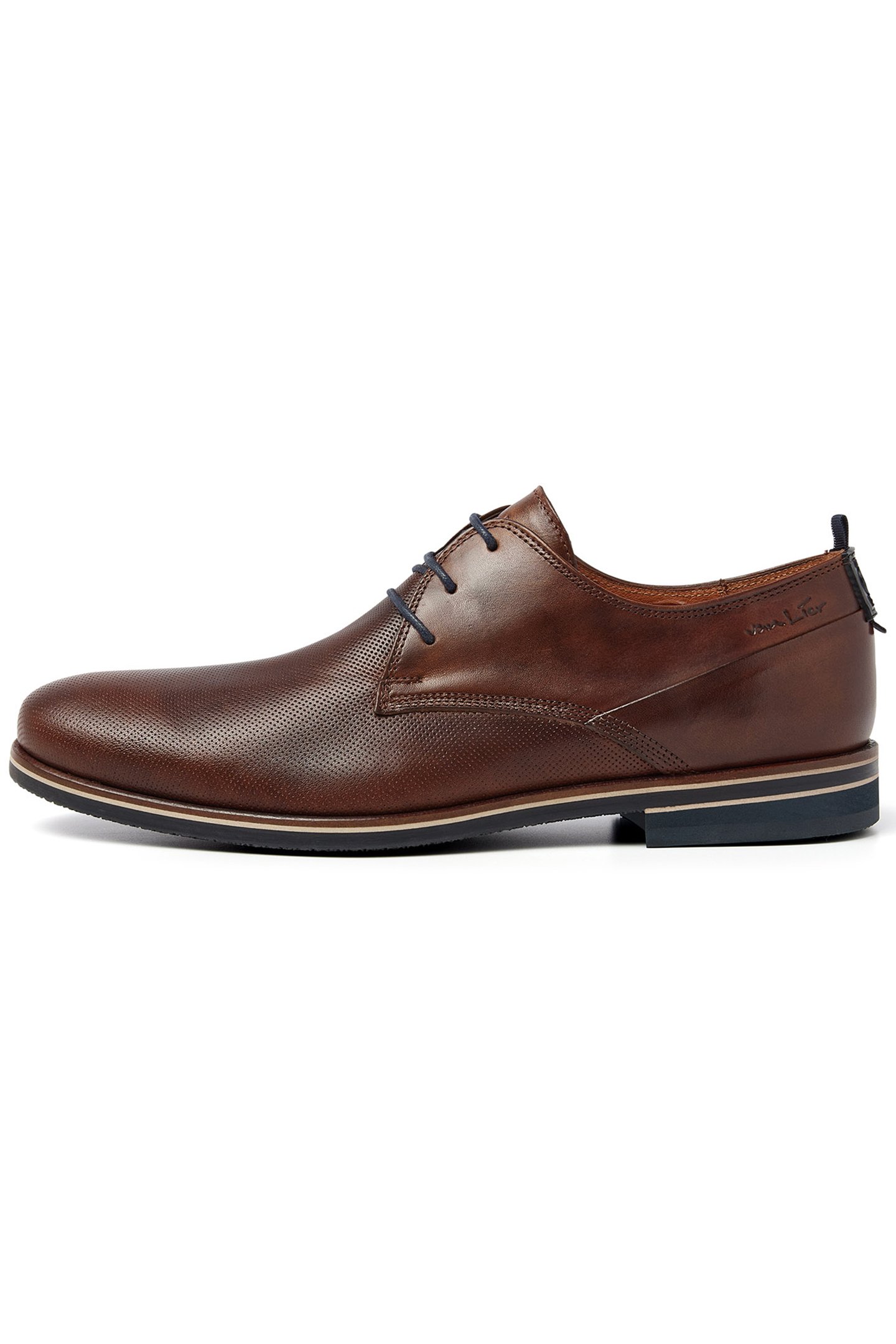 SABINUS BRUIN COGNAC by Van Lier