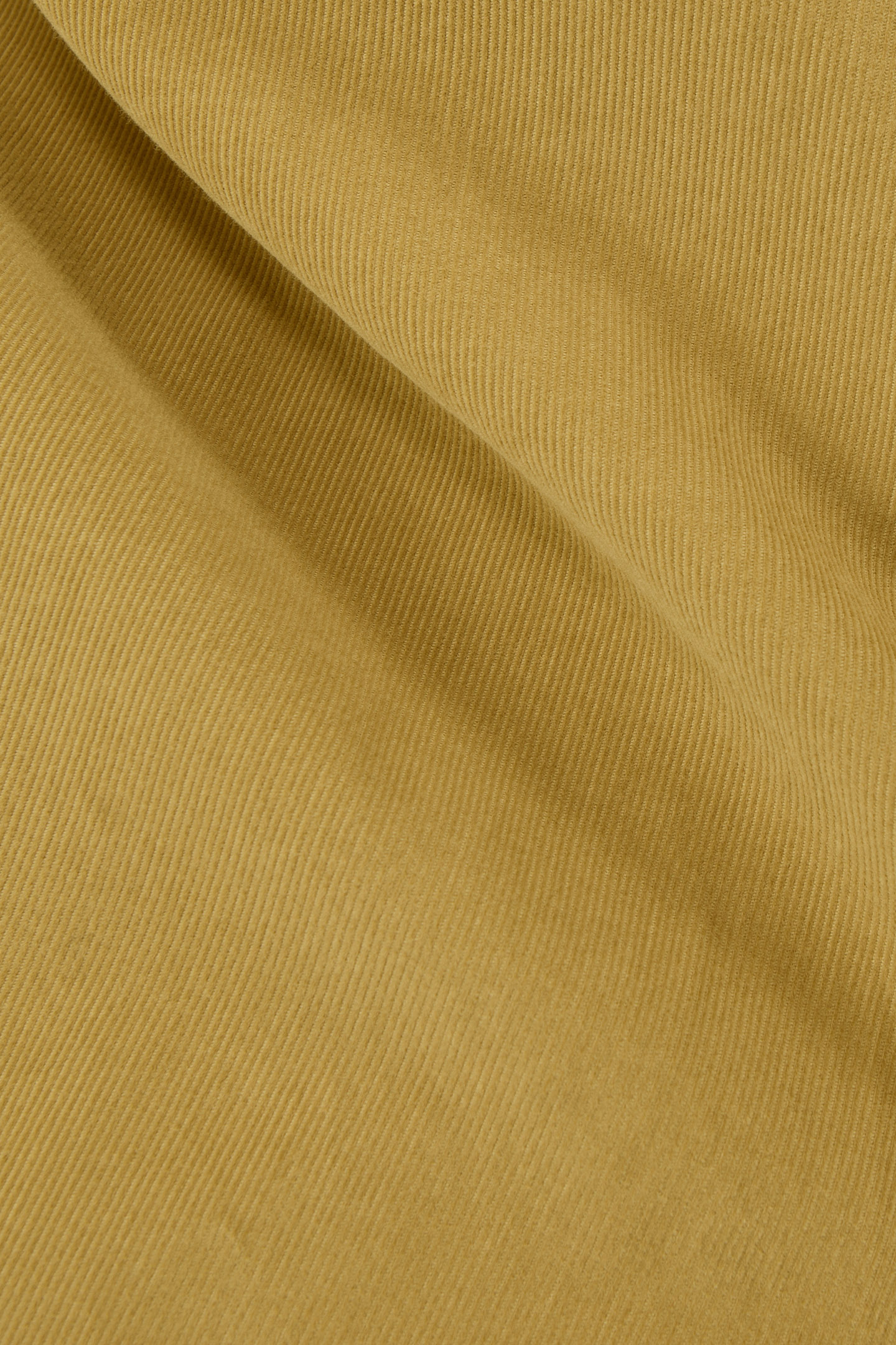 SHIRT REGULAR LICHEN VELVET MILLERAIES 8