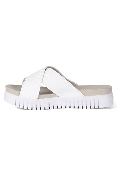 TULIP1465RE WHITE SUGAR 3