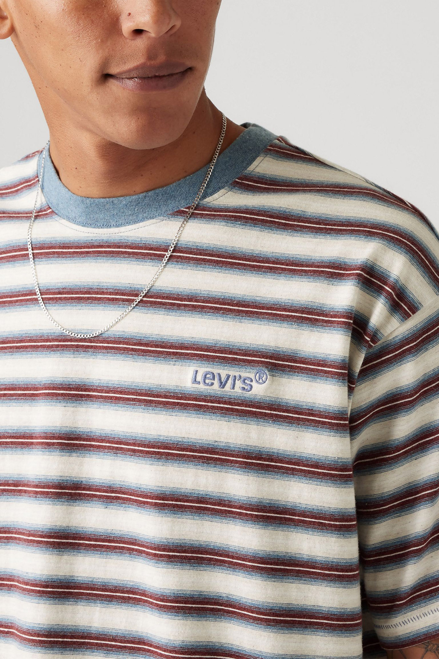 RED TAB VINTAGE TEE BREAK STRIPE PORRIDGE 5