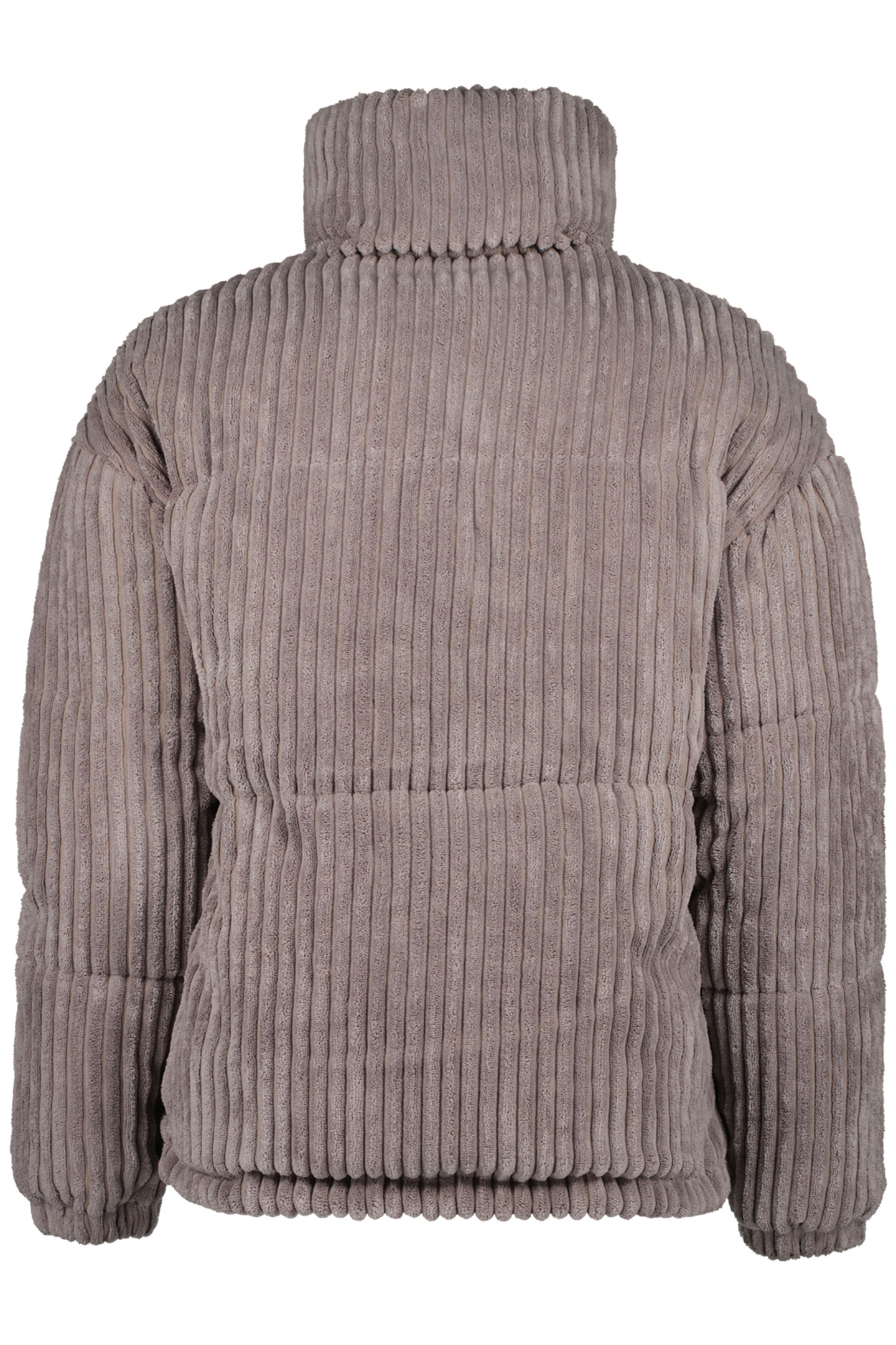 YANAKA JACKET OUTDOOR SHARK 2