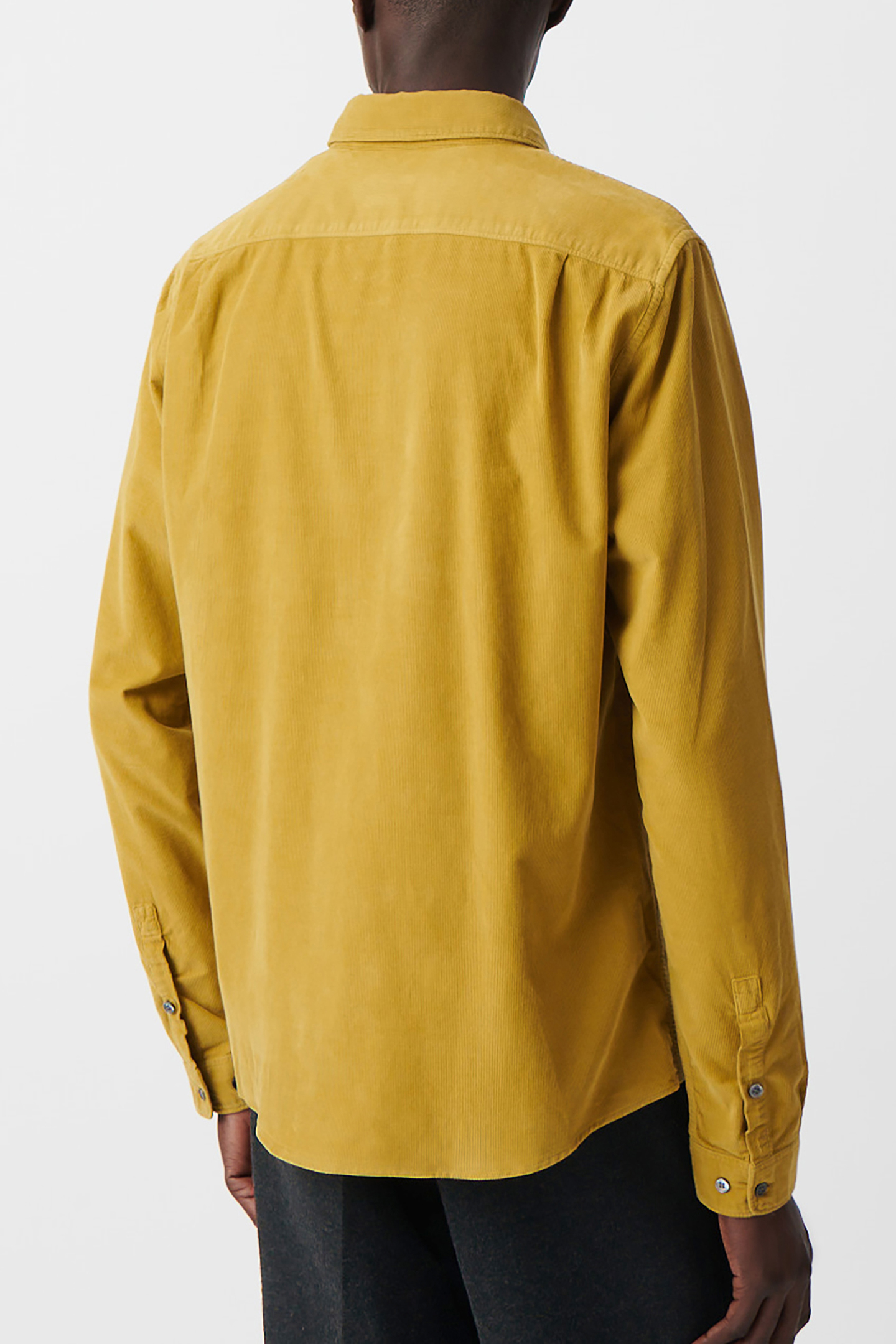 SHIRT REGULAR LICHEN VELVET MILLERAIES 2