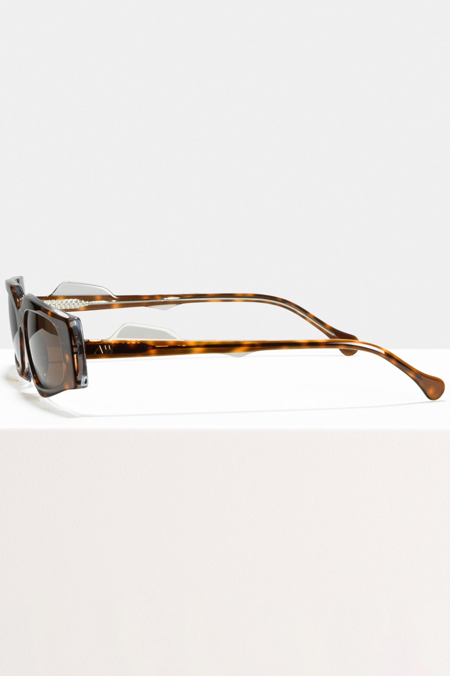 ASHLEY HELL RAISER ESIO TROT 3