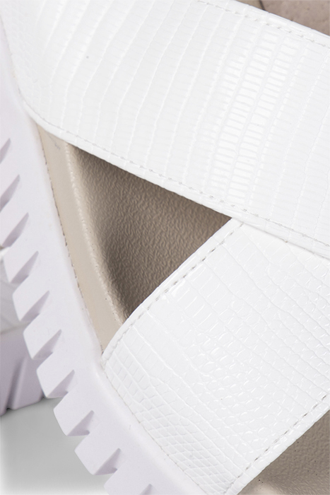 TULIP1465RE WHITE SUGAR 4