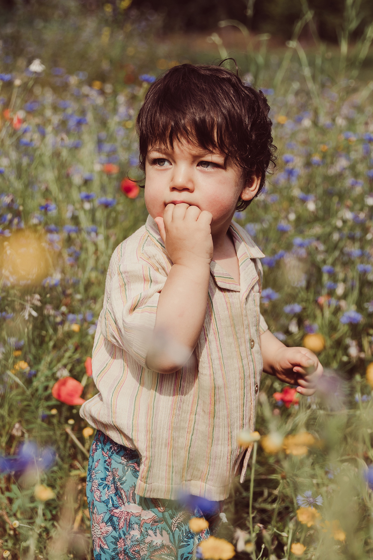 SHIRT ALOV MULTICO RAINBOW LINE 2