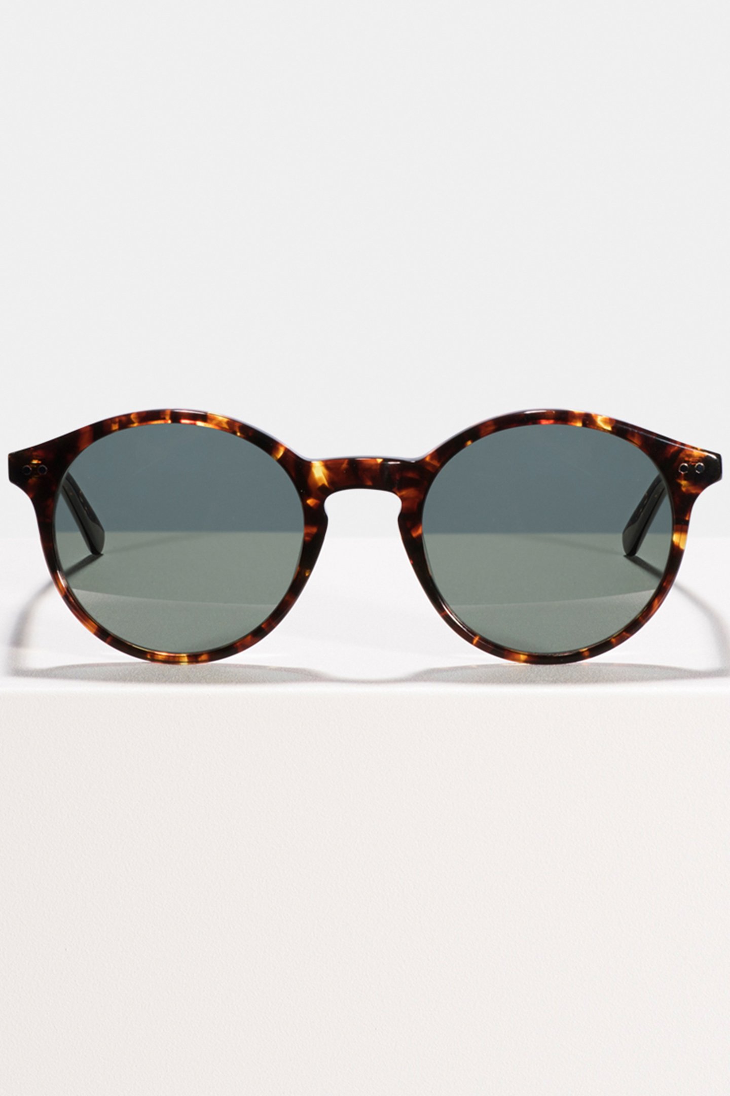 MONTY CHESTNUT TORTOISE GREEN SUN 1