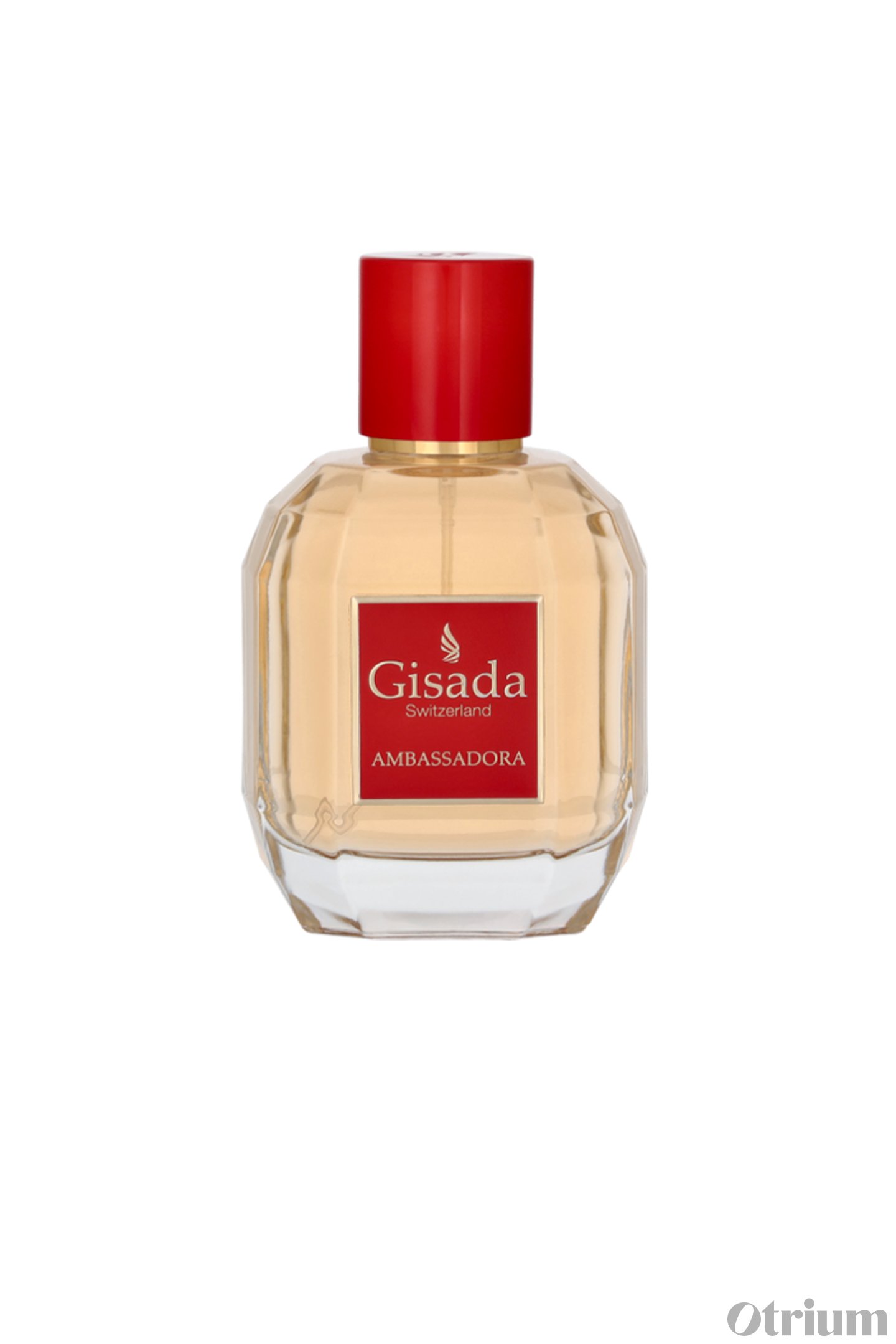 GISADA - AMBASSADORA - EDP (100ML) 1