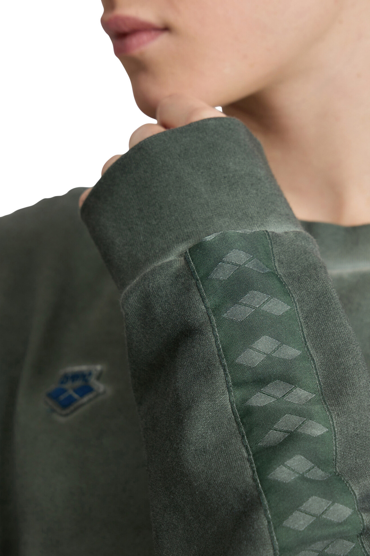 ARENA ICONS SWEAT OVERSIZE SAGE DELAVE 9