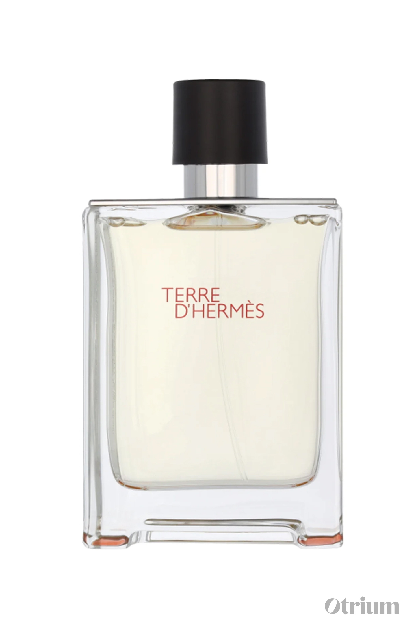 HERMÈS - TERRE D'HERMÈS - EDT (200ML) 1
