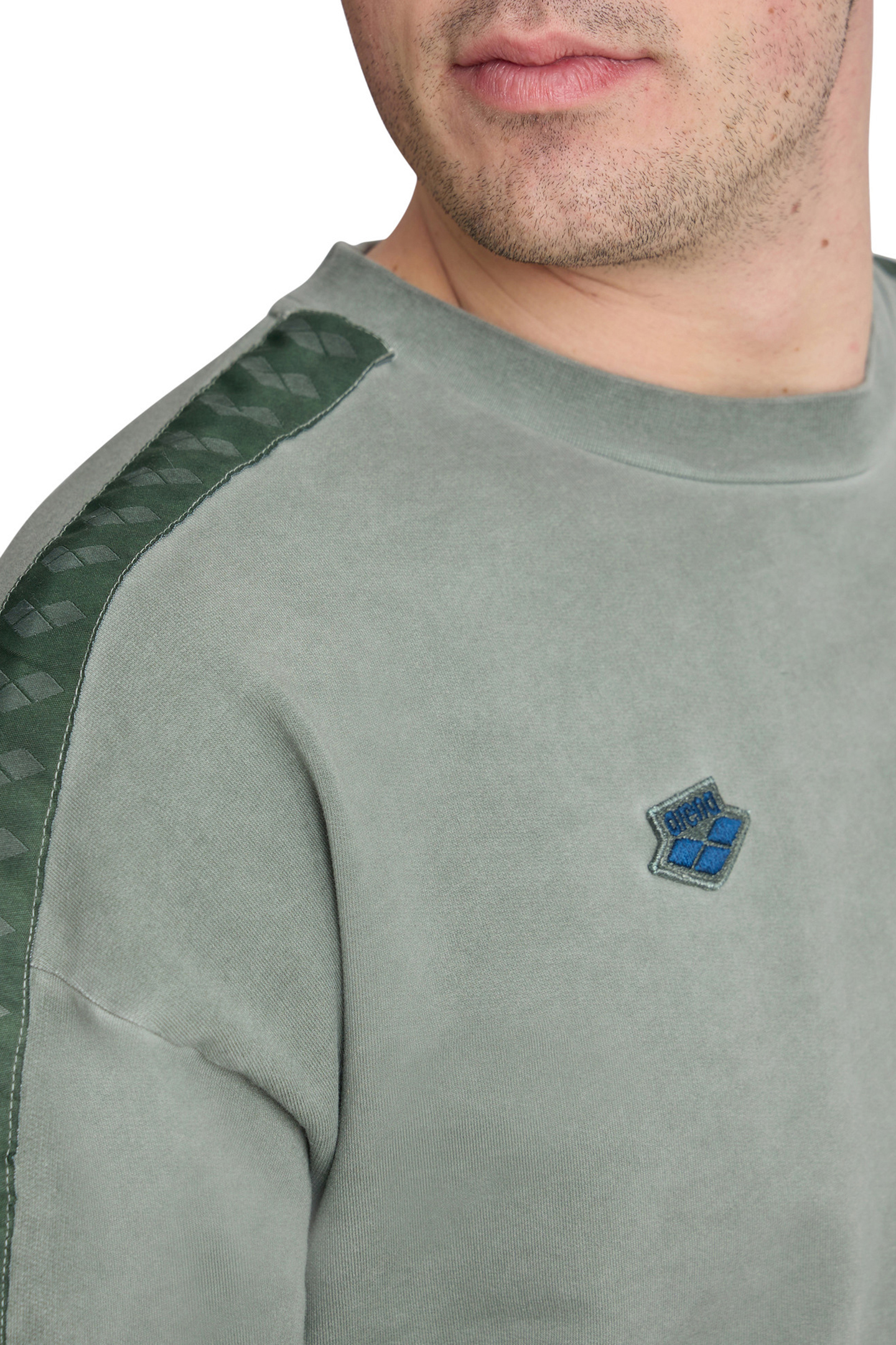 ARENA ICONS SWEAT OVERSIZE SAGE DELAVE 10