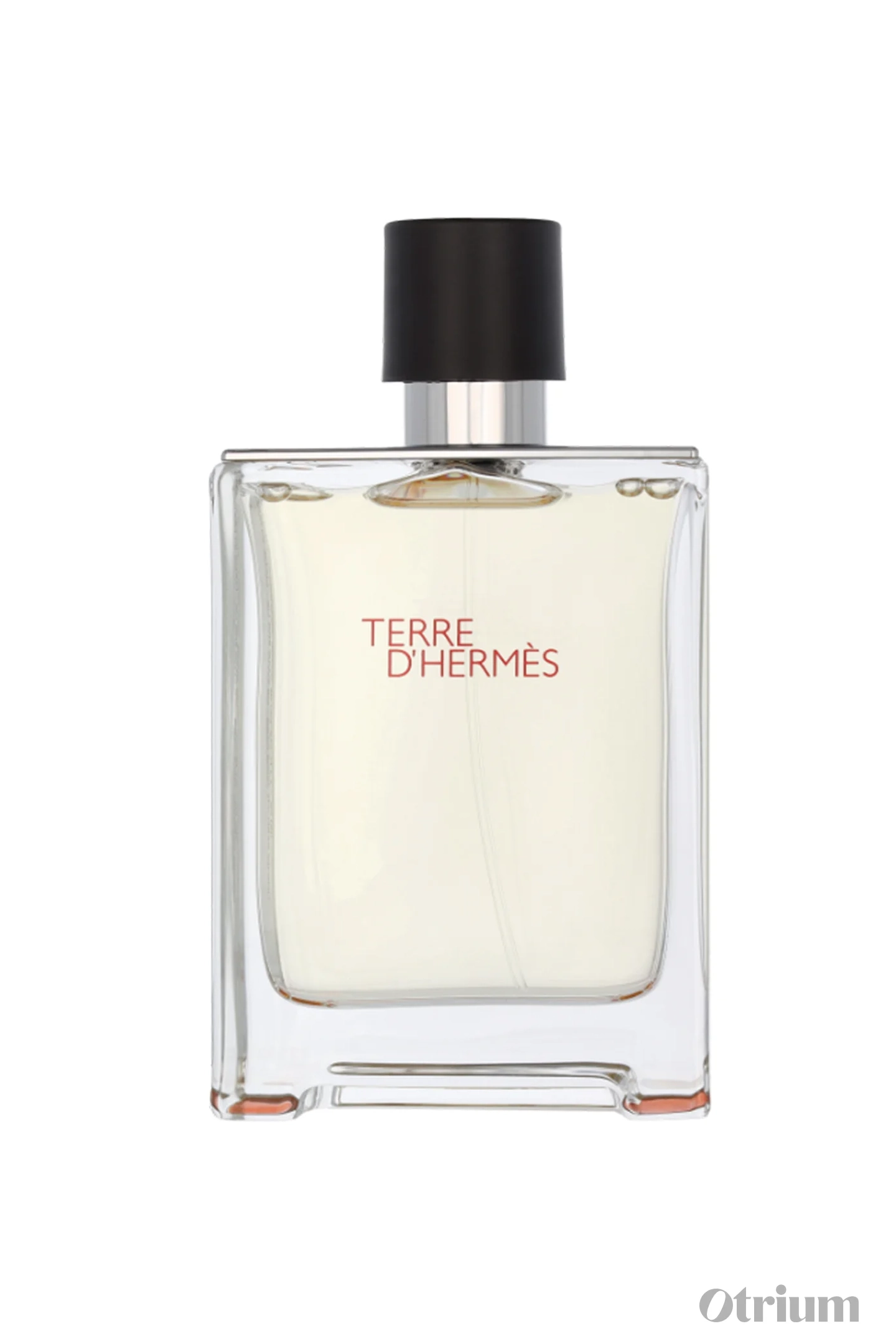 HERMÈS - TERRE D'HERMÈS - EDT (100ML) 1
