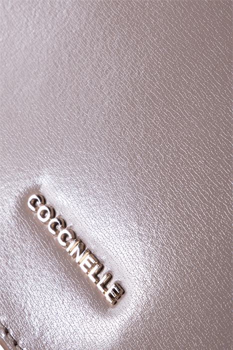 CROSS BODY BAG IN GRAINED LEATHER 5