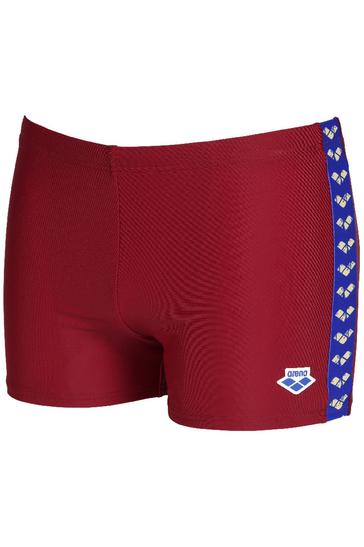 MEN'S ARENA ICONS SWIM SHORT SOLID BURGUNDY 9